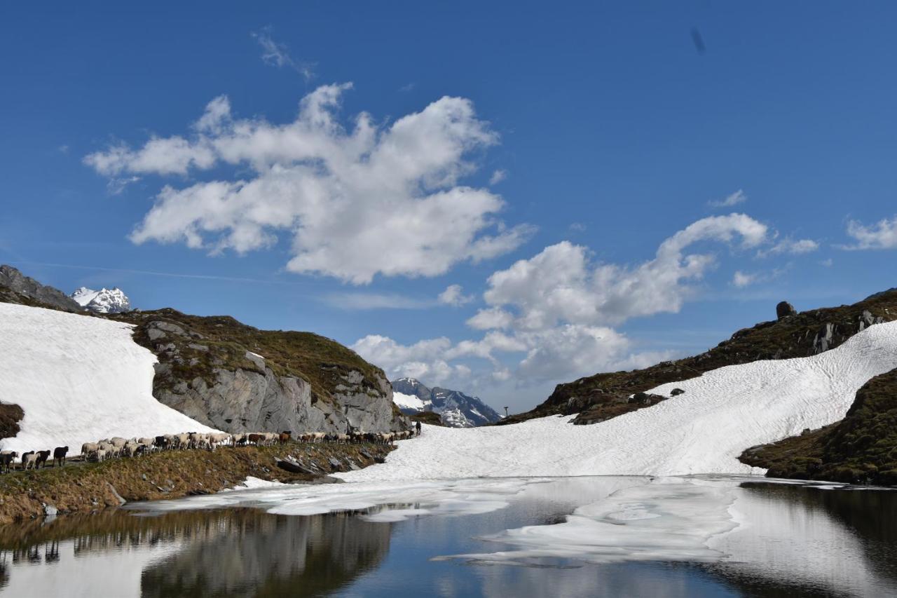 Ferienwohnungen Unterangerhof Quinzo ภายนอก รูปภาพ